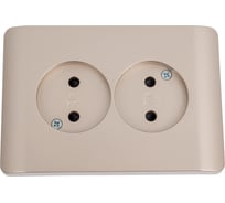 Розетка 2-м CHINT NEW3-E без заземления, защитные шторки 16А шампань 431420