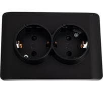 Розетка 2-м CHINT NEW3-E с заземлением, защитные шторки 16А черный 431491