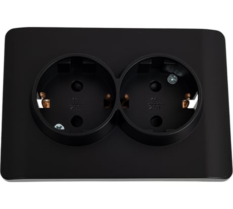 Розетка 2-м CHINT NEW3-E с заземлением, защитные шторки 16А черный 431491