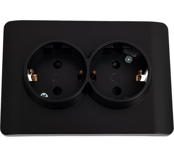 Розетка 2-м CHINT NEW3-E с заземлением, защитные шторки 16А черный 431491 1