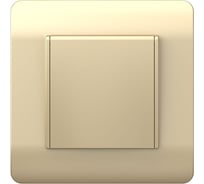 Розетка CHINT NEW3-E 16А IP44 с заземлением, защитные шторки с крышкой шампань 431448