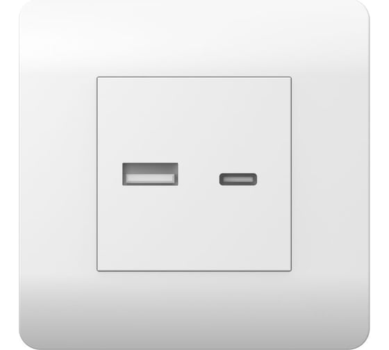 Розетка CHINT USB NEW3-E тип A+C 5В/2.1А белый 431551