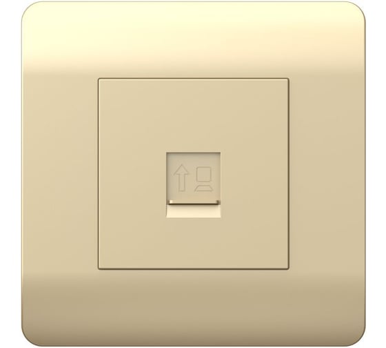 Розетка компьютерная 1-м CHINT NEW3-E RJ45 шампань 431416