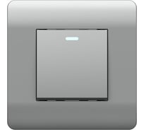 Выключатель 1-клавишный CHINT NEW3-E 10А, с подсветкой, серебро 431393