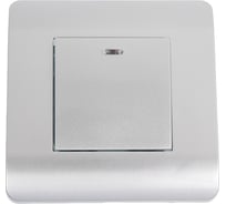 Выключатель 1-клавишный CHINT NEW3-E 10А, с подсветкой, серебро 431393