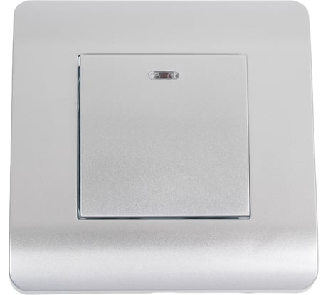 Выключатель 1-клавишный CHINT NEW3-E 10А, с подсветкой, серебро 431393