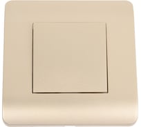 Выключатель 1-клавишный CHINT NEW3-E 10А, шампань 431380