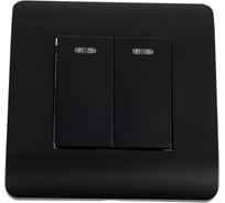 Выключатель 2-клавишный CHINT NEW3-E 10А, с подсветкой, черный 431474