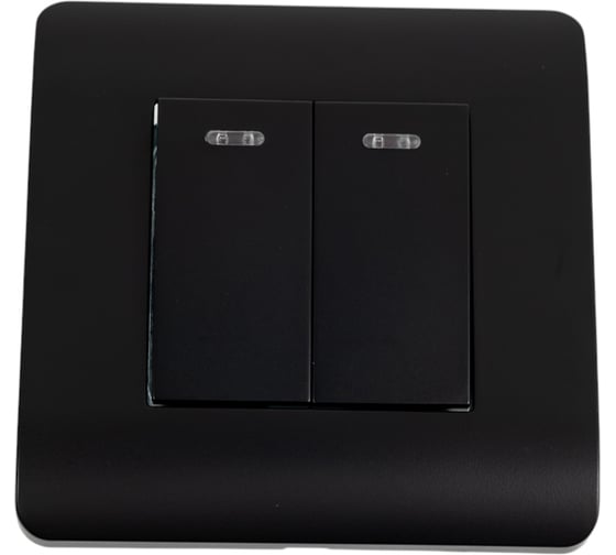 Выключатель 2-клавишный CHINT NEW3-E 10А, с подсветкой, черный 431474 1