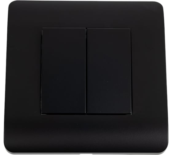 Выключатель 2-клавишный CHINT NEW3-E 10А, черный 431467 1