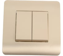 Выключатель 2-клавишный CHINT NEW3-E 10А, шампань 431388