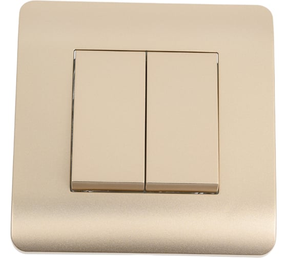Выключатель 2-клавишный CHINT NEW3-E 10А, шампань 431388 1
