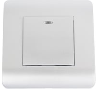 Переключатель 1-клавишный CHINT NEW3-E 10А, с подсветкой, серебро 431395