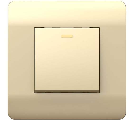 Переключатель 1-клавишный CHINT NEW3-E 10А, с подсветкой шампань 431394 1