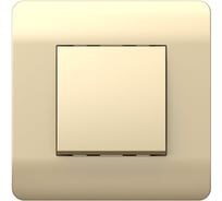 Переключатель 1-клавишный CHINT NEW3-E 10А, шампань 431382