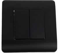 Переключатель 2-клавишный CHINT NEW3-E 10А, черный 431468