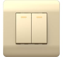 Переключатель 2-клавишный CHINT NEW3-E 10А, шампань 431390