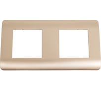 Рамка 2-местная CHINT NEW3-E универсальная, шампань 431434