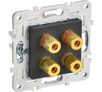 Аудиорозетка 4-местная IEK SKANDY SK-A01T титан SK-S40-K48
