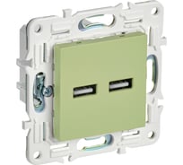 Розетка IEK SKANDY USB A+A 3,1А SK-R15M мятный SK-U21-D31-K06