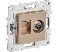 Розетка IEK SKANDY двойная TV+RJ45 кат.5E SK-A14Sa песочный SK-AK20-1-K98