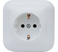1-местная розетка Duwi, СП, с заземлением, серия Basis, белый 26459 0