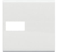 Клавиша Bticino Livinglight Axial с 1 отверстием для вставки символа, размер 2 модуля, цвет белый N4916M2T
