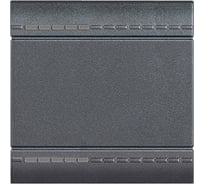 Клавиша Bticino Livinglight на 2 функции 2 модуля, цвет антрацит L4911M2N