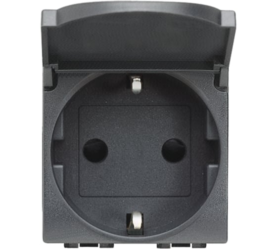 Розетка Bticino Livinglight 2К+З с крышкой, антрацит L4141PW 1