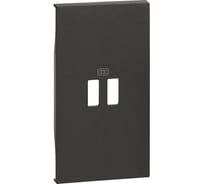 Лицевая панель Bticino LIVING NOW для зарядных устройств USB 2 модуля. Цвет Черный. KG12C