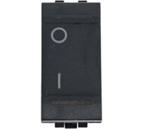 Выключатель Bticino Livinglight 2-х полюсный, 16AX, цвет антрацит L4002N