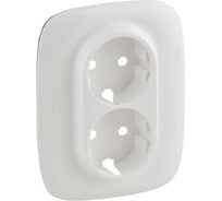 Лицевая панель для двойной силовой розетки Legrand Valena ALLURE 2x2К+З, белая 754955