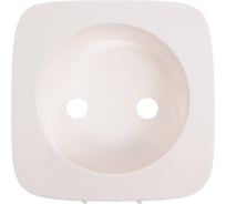Лицевая панель силовой розетки Legrand Valena ALLURE 2К, белая 754975