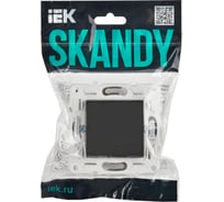Выключатель 1-клавишный кнопочный IEK SKANDY 10А SK-V14G графит SK-V17-0-10-K53