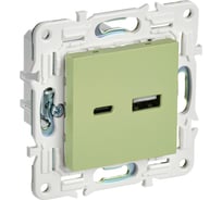 Розетка USB A+C IEK SKANDY 18Вт SK-R13M мятный SK-U22-018-K06