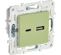 Розетка USB A+C IEK SKANDY 3,1А SK-R14M мятный SK-U22-D31-K06