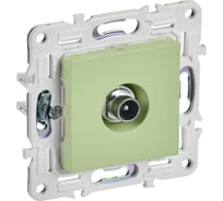 Розетка TV проходная IEK SKANDY SK-A17M мятный SK-A10-P-K06