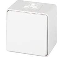 Переключатель ЭРА Эксперт 11-1503-01 IP55, 10АХ250В, ОУ, белый Б0063301
