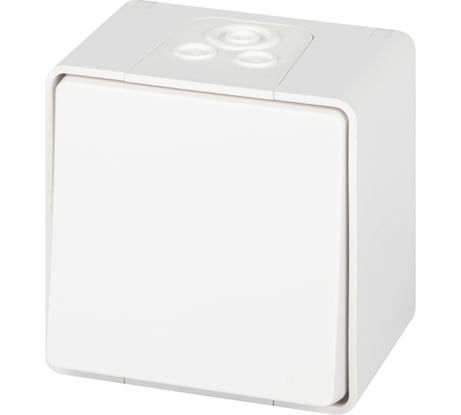 Переключатель ЭРА Эксперт 11-1503-01 IP55, 10АХ250В, ОУ, белый Б0063301