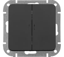 Механизм выключателя 2-клавишный Bylectrica проходной, СУ серия АСТРУМ, карбон С(6+6) 10-3563 карбон