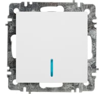 Выключатель Intro Accent 610201 с подсветкой, 10А250В, IP20, скрытой установки, AL/CU, белый Б0063445
