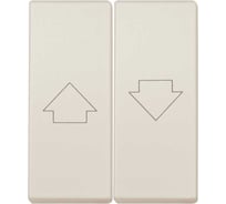 Клавиша Simon 2шт на выключатель двухклавишный проходной для жалюзи, C, слоновая кость 82029-51