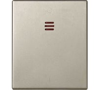 Клавиша Simon для выключателя двухполюсного с контрольной подсветкой, широкий C, шампань 82032-54