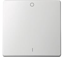 Клавиша Simon для двухполюсного выключателя, S73 Loft, белый 73023-60
