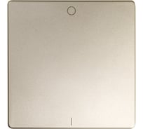 Клавиша Simon для двухполюсного выключателя, S82, S82N, шампань 82031-34