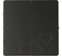 Клавиши Simon 2 шт для двухклавишного кнопочного выключателя (2вх-2вых), графит 82029-38