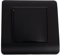 Розетка CHINT NEW3-E 16А IP44 с заземлением, защитные шторки с крышкой черный 431500