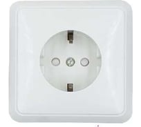 Розетка SVET белая РС 16-031 ABS со шторкой скрытой установки с заземляющим контактом 2013