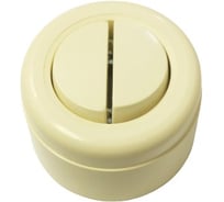 Двухклавишный выключатель Interior Electric пластиковый ABS слоновая кость ВП001.2