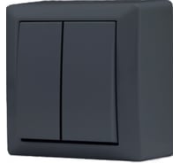 Выключатель Metronex Electric Mega Grafit двухклавишный FVK030201GRA